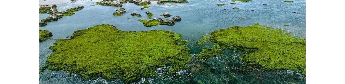 曲靖各县区2025年财政收入：富源县接近麒麟区，会泽县升至第三，沾益区暴涨