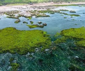 曲靖各县区2025年财政收入：富源县接近麒麟区，会泽县升至第三，沾益区暴涨