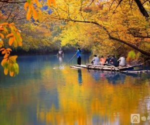 全域布局、四季运营！曲靖旅居，早已不止夏日避暑