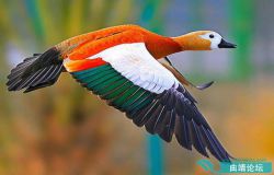 ��ӰҲ����������·����10�ֳ��õ���������ò�����