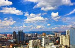 ����������|��������ǵ���