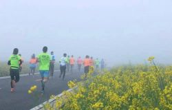 �ýŲ�������������ƽ������������Ϣ��