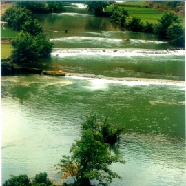 ��ɻ�԰ ��Ӱ����