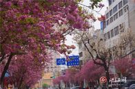 �����ǰ��·ح��ӣŭ����д��������