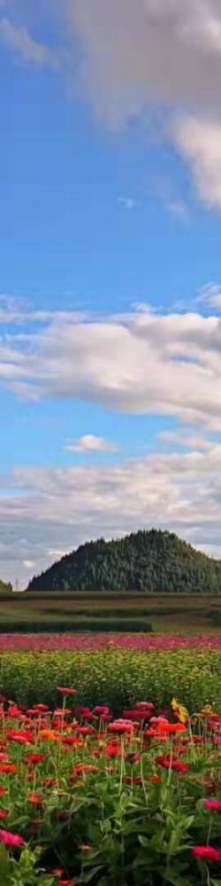 ������ƽ�ʻ�Ϯ��