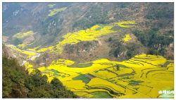 ������ƽ֮�ö� ����