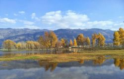 �λõ�ɫ��-������º�