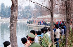 һ�Ű����������