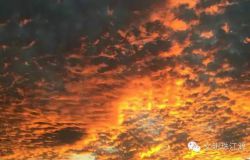 �����������ͣ�ʦ��������