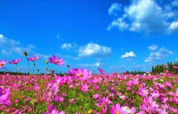 �����Ϻ��� ��ɣ��ʢ��ӭ����