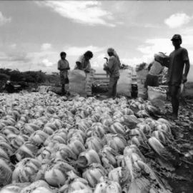 ��������Ӱ������30λ��Ӱʦ���㲻�ܲ���ʶ���ǵ���Ʒ