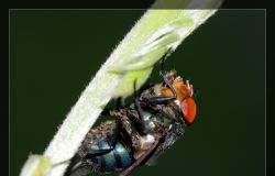 XPRO���㾵���ֲ�����ӭ��ҹ���