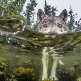 2015�������ҵ������ܻ�ӭ25����ͼ��ÿ�Ŷ������棡