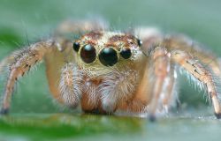 ���˳��Ե�΢������