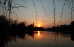 ��Ը��������������һ�Ƿ�������