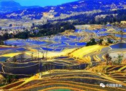 ������Ƭ�ͱ��ó������ˣ���ί�л�˵��