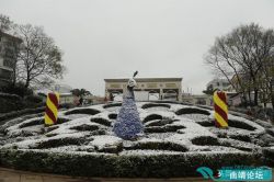 ѩ���е���̶��԰�������