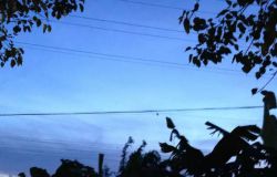 ���������Ӱ����