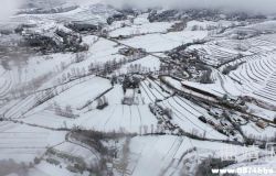 �����������С��ѩ������