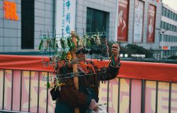 ͼ������Ӱ��������н�����