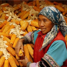 ½���ؾٰ��鷨����������Ӱ��ѵ