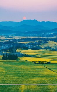 ������ƽ�Ľ�ɫ�ξ�