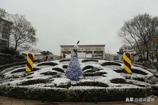 082f09c84d4d4ab6b9ffad96048f600a