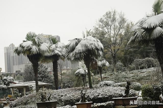 7b681edf00b944b4b44dcdc491cef832