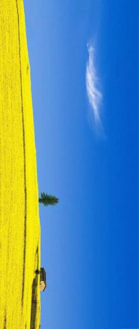 19ec94549a9349758d8cee1bbac4f399