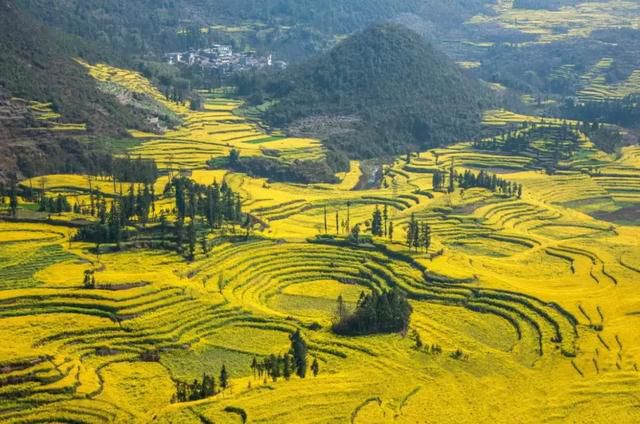 b40587952e18445c8c458488e4720dfe