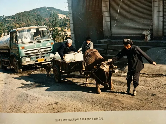 《光影里的陆良，半世纪的城与事》黑白光影[7639601921140982691]_1.webp